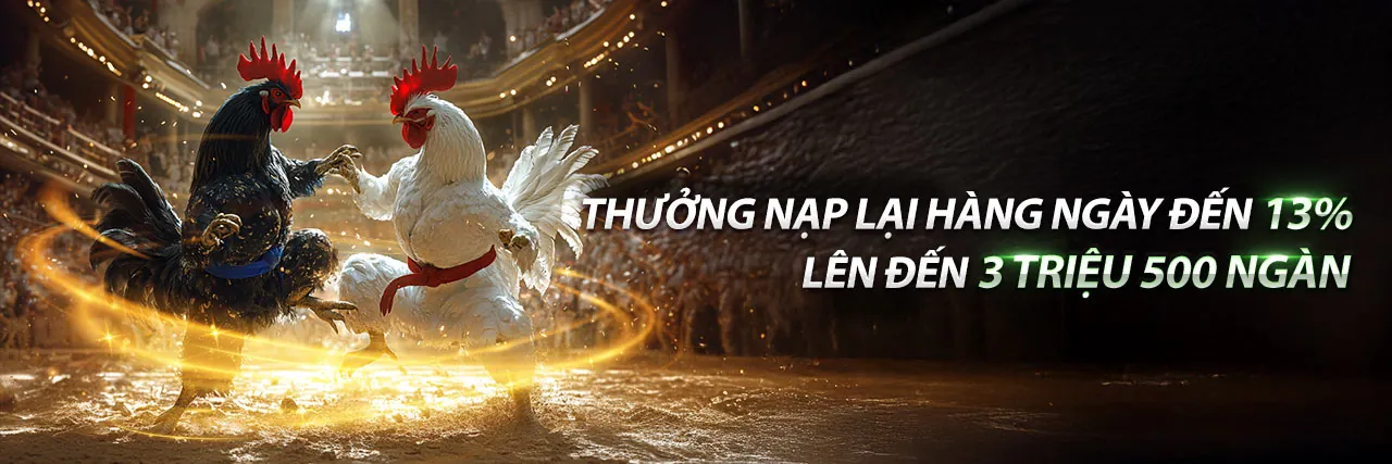 Trực tiếp đá gà Thomo C3 hôm qua tại King Poker Vietnam